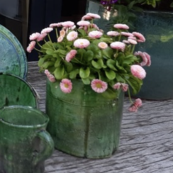 groene aardewerken pot